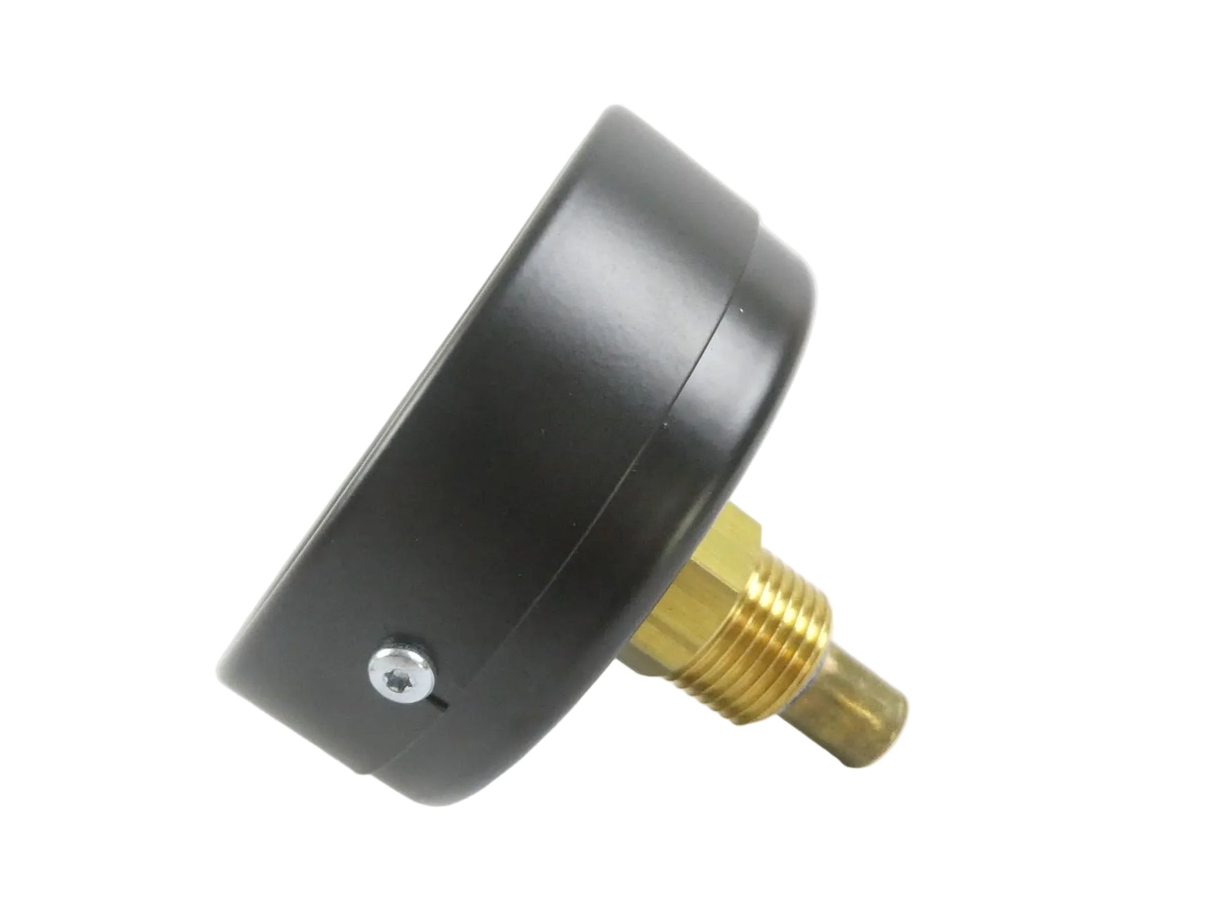 WATTS P1497B073001 THERMOMANOMETER 80 R 0..4 BAR/20..120°C