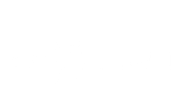 SZ Handel